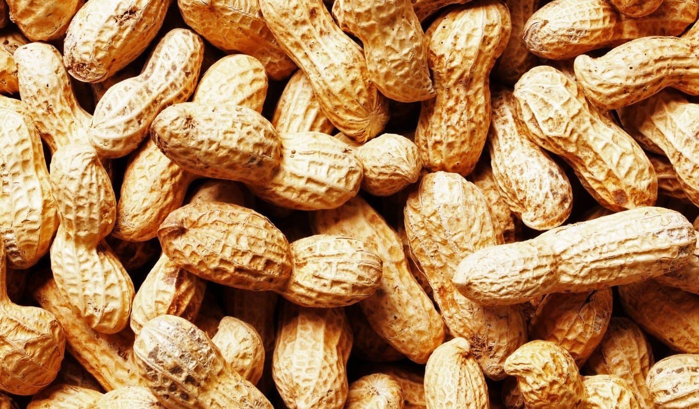 Peanuts